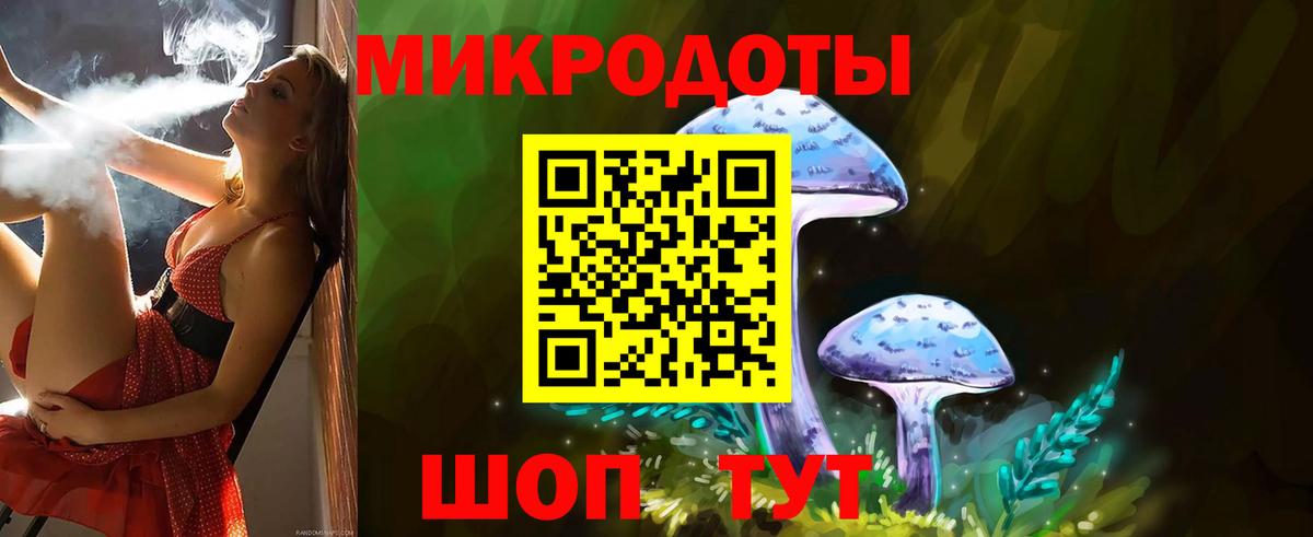 Свободный  Псилоцибиновые грибы GOLDEN TEACHER  Вход с VPN 
