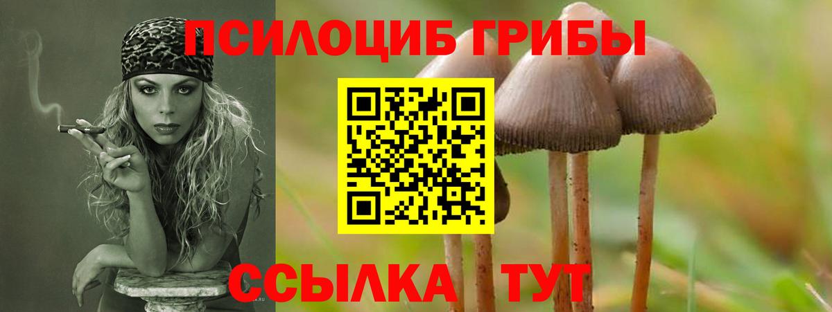 Псилоцибиновые грибы мухоморы Свободный